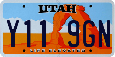 UT license plate Y119GN