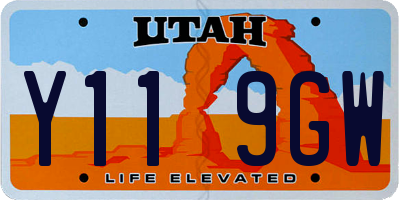 UT license plate Y119GW