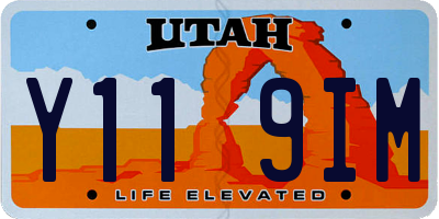 UT license plate Y119IM