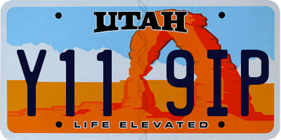 UT license plate Y119IP