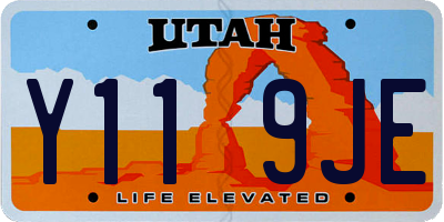 UT license plate Y119JE