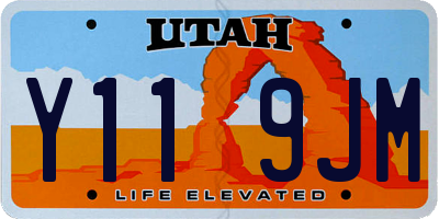 UT license plate Y119JM