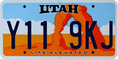 UT license plate Y119KJ