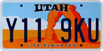 UT license plate Y119KU