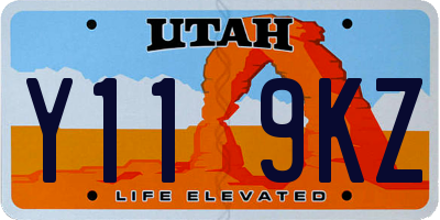 UT license plate Y119KZ