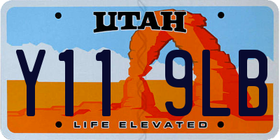 UT license plate Y119LB