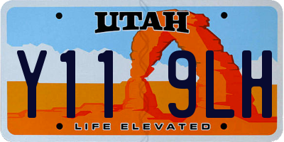UT license plate Y119LH