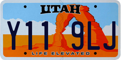 UT license plate Y119LJ