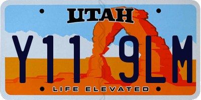 UT license plate Y119LM