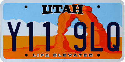 UT license plate Y119LQ