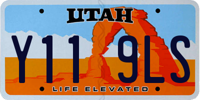 UT license plate Y119LS