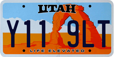 UT license plate Y119LT