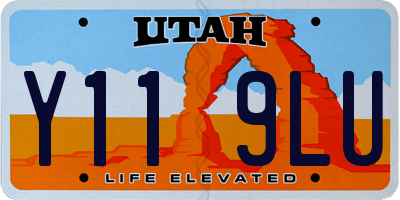 UT license plate Y119LU
