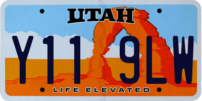 UT license plate Y119LW