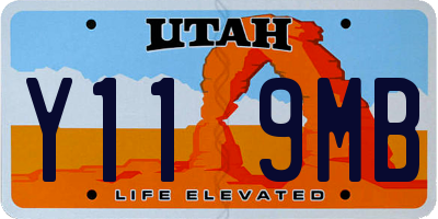 UT license plate Y119MB