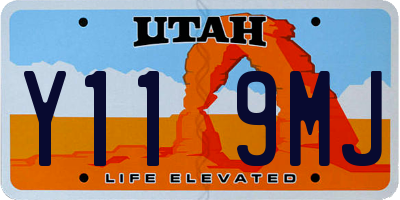 UT license plate Y119MJ