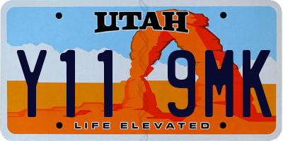 UT license plate Y119MK