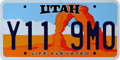 UT license plate Y119MO