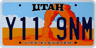 UT license plate Y119NM