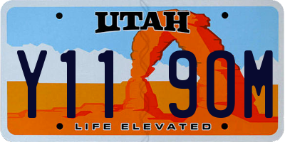 UT license plate Y119OM