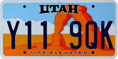 UT license plate Y119QK