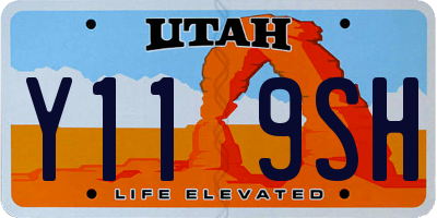 UT license plate Y119SH