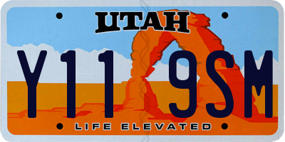 UT license plate Y119SM