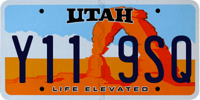 UT license plate Y119SQ