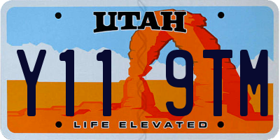 UT license plate Y119TM