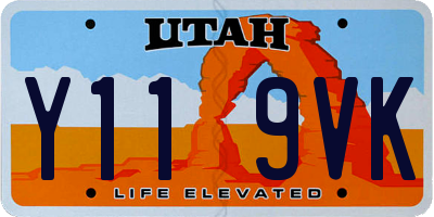 UT license plate Y119VK