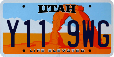 UT license plate Y119WG