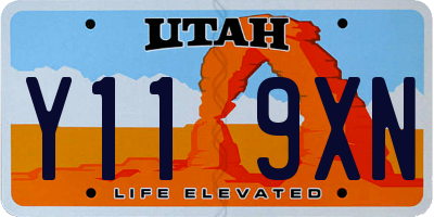 UT license plate Y119XN