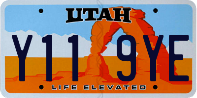 UT license plate Y119YE
