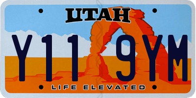UT license plate Y119YM