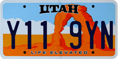 UT license plate Y119YN