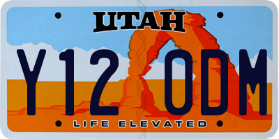 UT license plate Y120DM