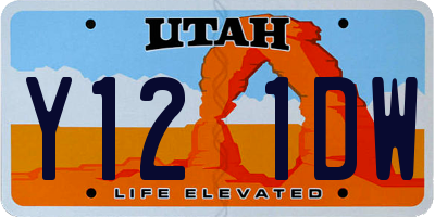 UT license plate Y121DW