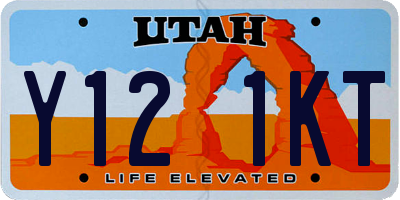 UT license plate Y121KT