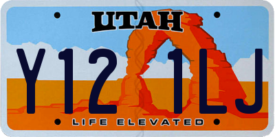 UT license plate Y121LJ