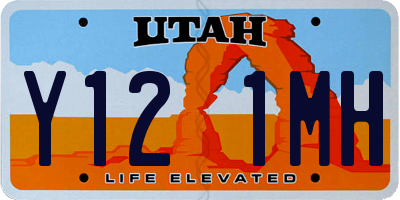 UT license plate Y121MH