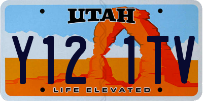 UT license plate Y121TV