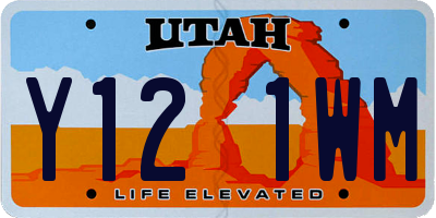 UT license plate Y121WM