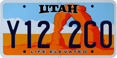 UT license plate Y122CO