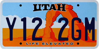 UT license plate Y122GM