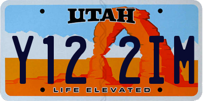 UT license plate Y122IM