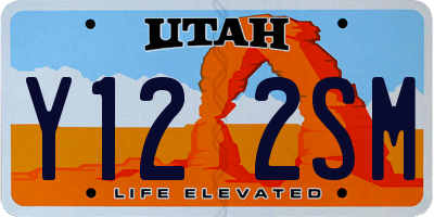 UT license plate Y122SM