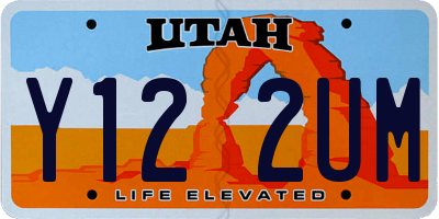UT license plate Y122UM