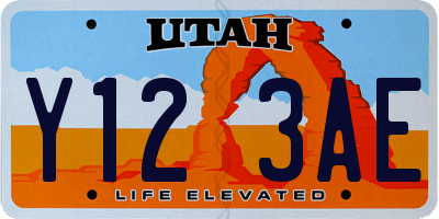 UT license plate Y123AE