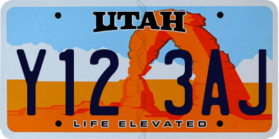 UT license plate Y123AJ