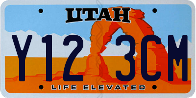 UT license plate Y123CM